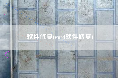 软件修复(word软件修复)