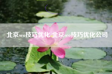 北京seo技巧优化 北京seo技巧优化公司