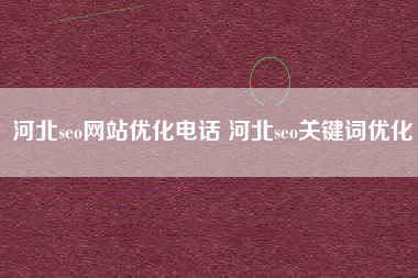 河北seo网站优化电话 河北seo关键词优化