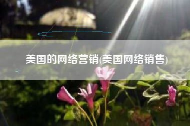 美国的网络营销(美国网络销售)