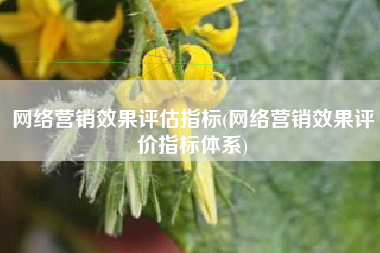 网络营销效果评估指标(网络营销效果评价指标体系)