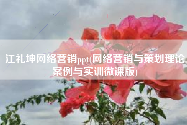 江礼坤网络营销ppt(网络营销与策划理论案例与实训微课版)