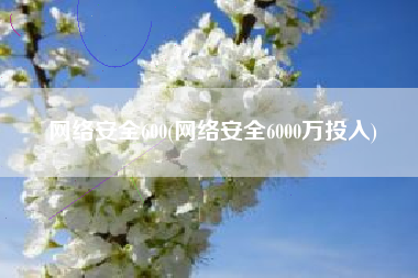 网络安全600(网络安全6000万投入)