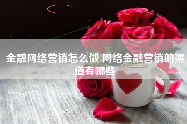 金融网络营销怎么做 网络金融营销的渠道有哪些