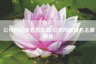 公司网站域名怎么取(公司网址域名去哪申请)