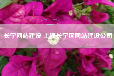 长宁网站建设 上海长宁区网站建设公司