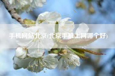 手机网站北京(北京手机上网哪个好)
