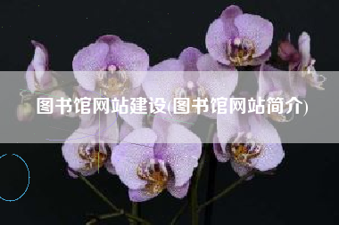 图书馆网站建设(图书馆网站简介)