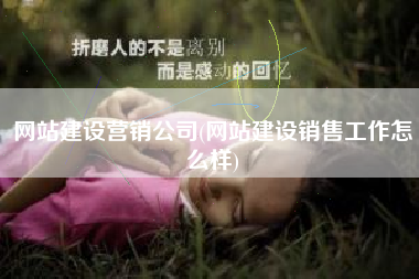 网站建设营销公司(网站建设销售工作怎么样)