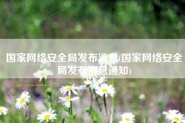 国家网络安全局发布消息(国家网络安全局发布消息通知)