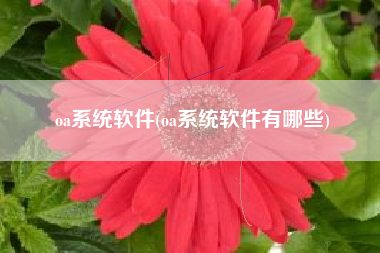 oa系统软件(oa系统软件有哪些)