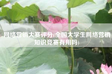 网络营销大赛评分(全国大学生网络营销知识竞赛有用吗)