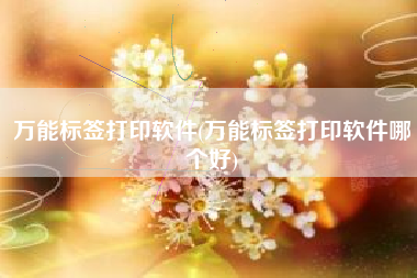 万能标签打印软件(万能标签打印软件哪个好)