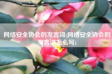网络安全协会的发言词(网络安全协会的发言词怎么写)