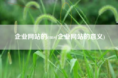 企业网站的cms(企业网站的意义)