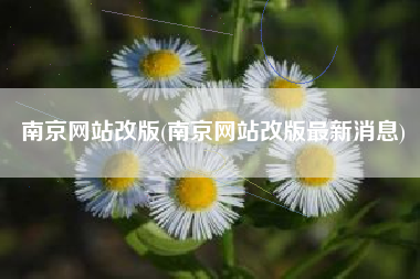 南京网站改版(南京网站改版最新消息)