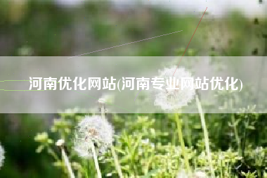 河南优化网站(河南专业网站优化)