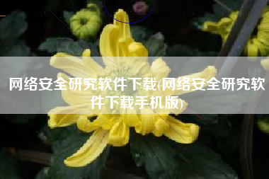 网络安全研究软件下载(网络安全研究软件下载手机版)
