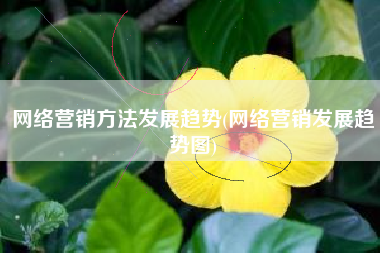 网络营销方法发展趋势(网络营销发展趋势图)
