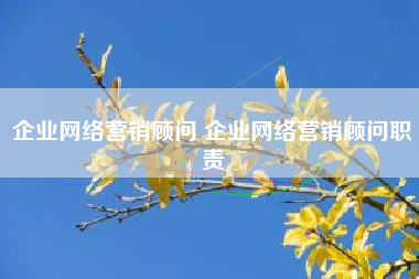 企业网络营销顾问 企业网络营销顾问职责