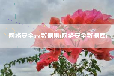 网络安全apt数据集(网络安全数据库)