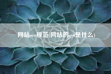 网站seo规范(网站的seo是什么)