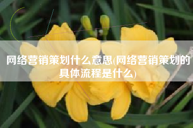 网络营销策划什么意思(网络营销策划的具体流程是什么)