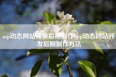 asp动态网站开发后期制作 asp动态网站开发后期制作方法