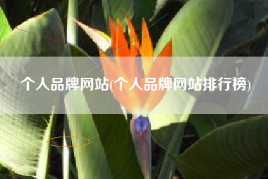 个人品牌网站(个人品牌网站排行榜)