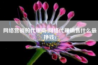 网络营销的代理商(网络代理销售什么最挣钱)