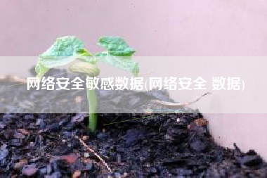 网络安全敏感数据(网络安全 数据)