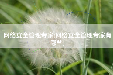 网络安全管理专家(网络安全管理专家有哪些)