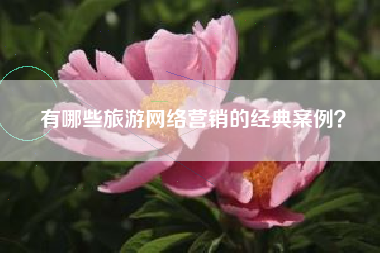 有哪些旅游网络营销的经典案例？
