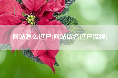 网站怎么过户(网站域名过户流程)