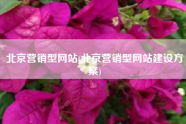 北京营销型网站(北京营销型网站建设方案)