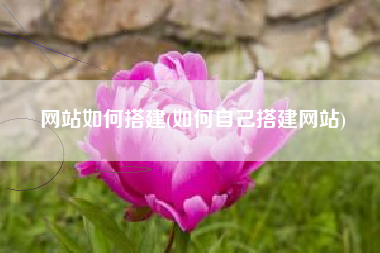 网站如何搭建(如何自己搭建网站)