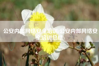 公安内部网络安全培训(公安内部网络安全培训总结)