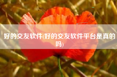 好的交友软件(好的交友软件平台是真的吗)