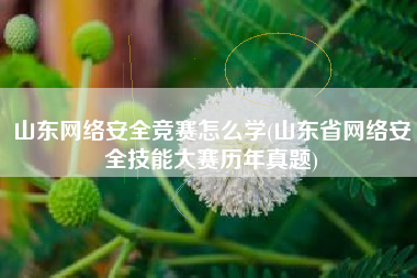 山东网络安全竞赛怎么学(山东省网络安全技能大赛历年真题)