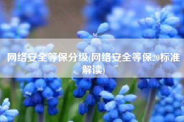网络安全等保分级(网络安全等保20标准解读)