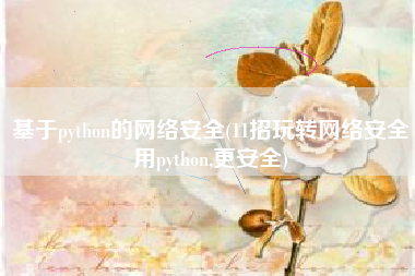 基于python的网络安全(11招玩转网络安全用python,更安全)