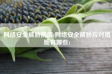 网络安全威胁防御(网络安全威胁应对措施有哪些)