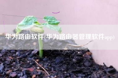 华为路由软件(华为路由器管理软件app)
