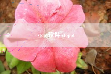stopt软件 stoppt