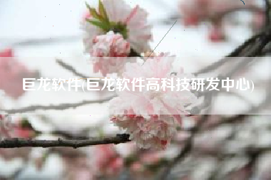 巨龙软件(巨龙软件高科技研发中心)