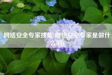 网络安全专家技能(网络安全专家是做什么的)