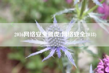 2016网络安全雅虎(网络安全2018)
