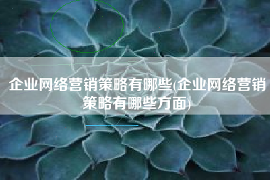 企业网络营销策略有哪些(企业网络营销策略有哪些方面)