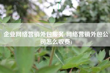 企业网络营销外包服务(网络营销外包公司怎么收费)