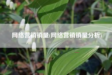 网络营销销量(网络营销销量分析)
